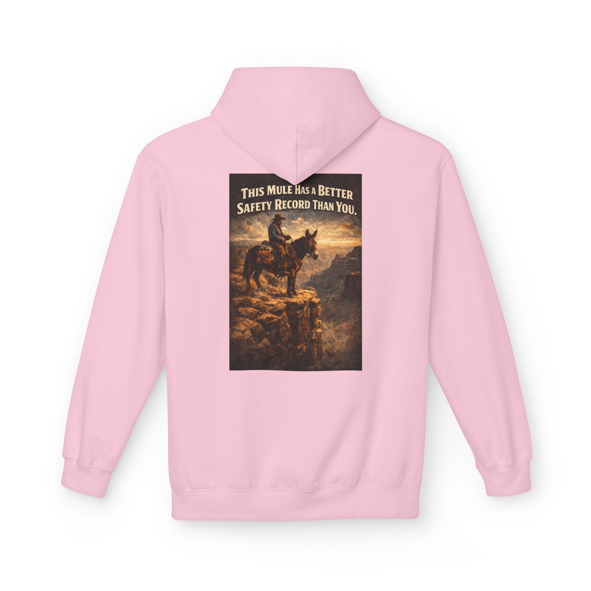 Riding Mule Graphic Hoodie – "This Mule Has a Better Safety Record Than You" Outdoor Adventure Sweatshirt