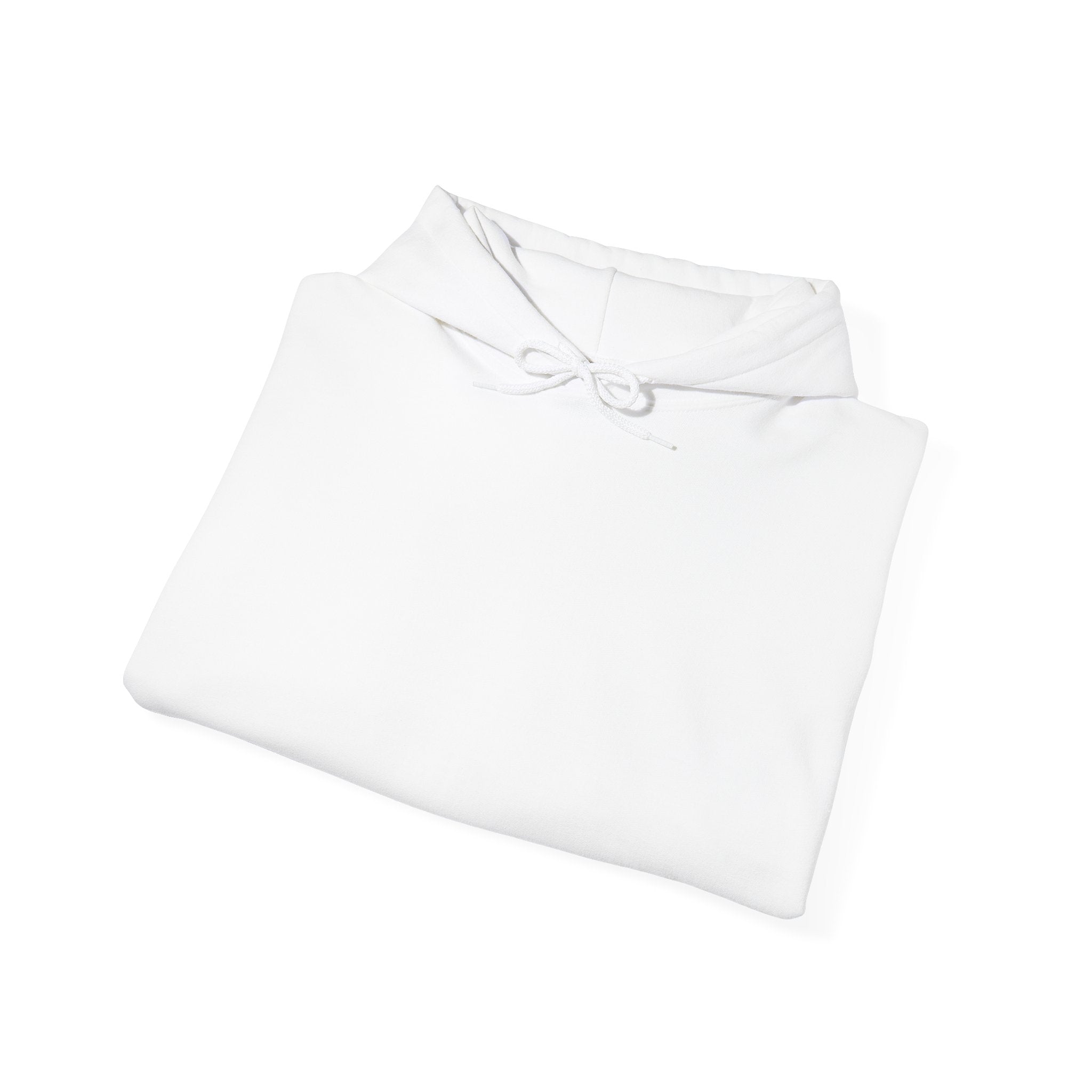 Horse Negotiator Hoodie — "I Don't Ride Horses, I Negotiate with Mules" Graphic Hoodie