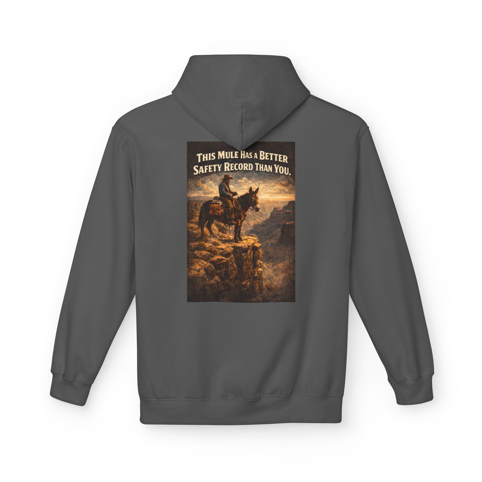 Riding Mule Graphic Hoodie – "This Mule Has a Better Safety Record Than You" Outdoor Adventure Sweatshirt