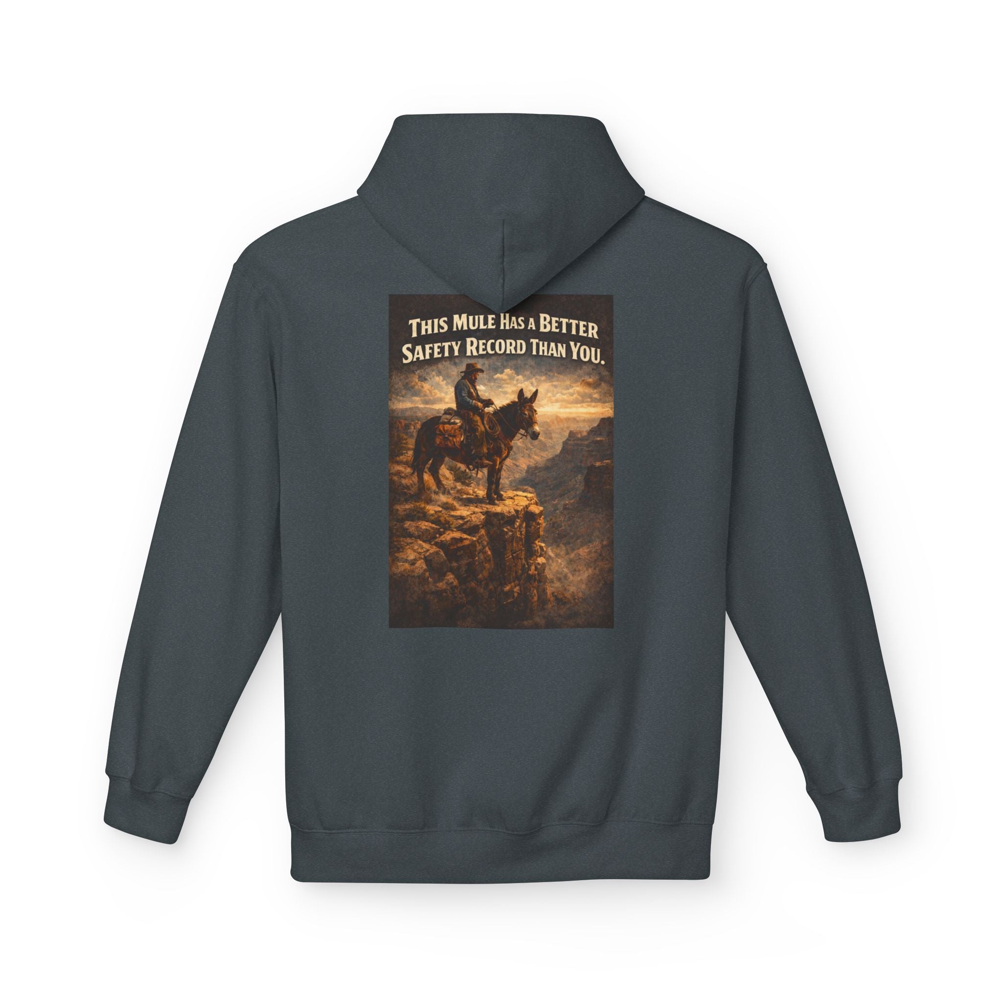 Riding Mule Graphic Hoodie – "This Mule Has a Better Safety Record Than You" Outdoor Adventure Sweatshirt