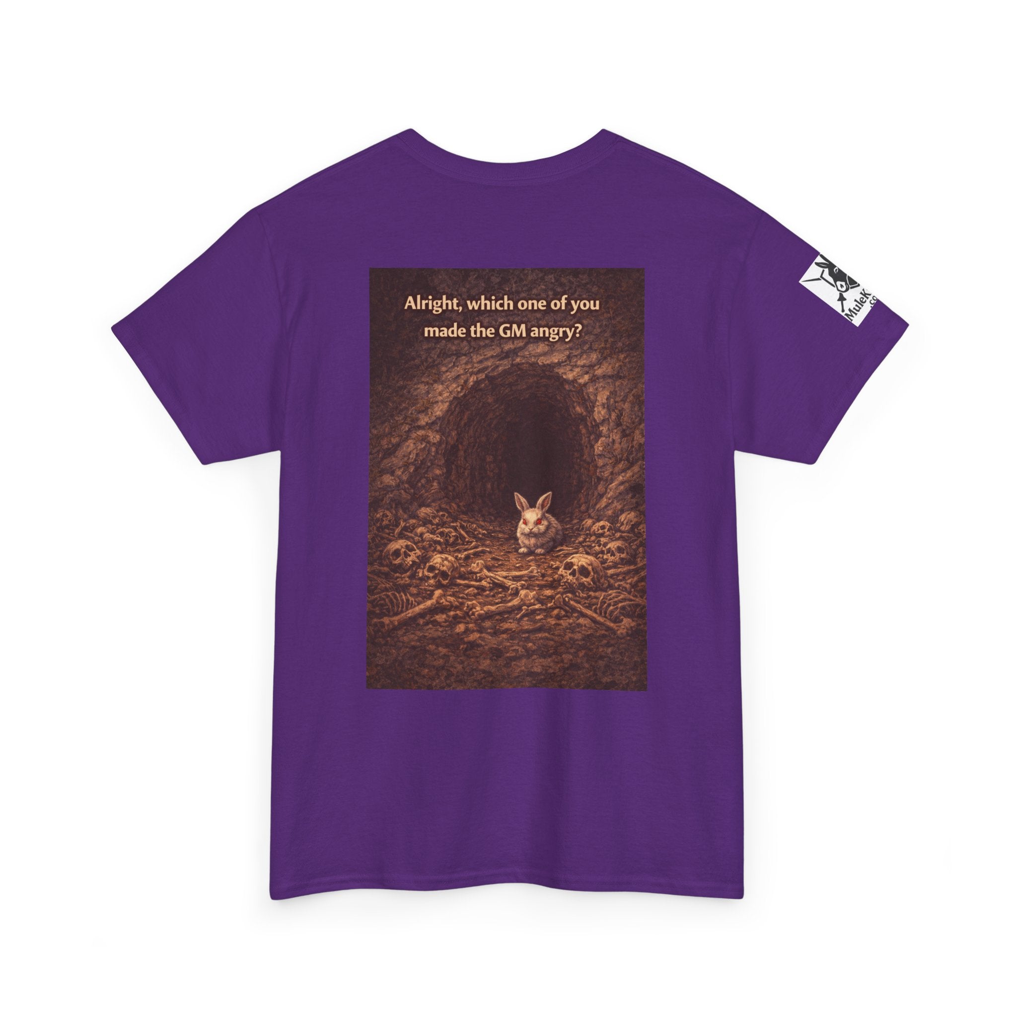 Gaming Tee—  "Alright which one of you made the GM angry!"  Funny tee