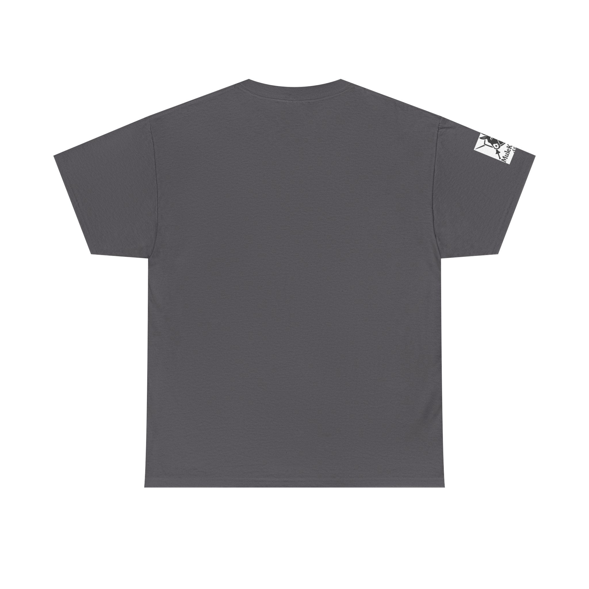 Crusader Knight T‑Shirt – "Pray for Mercy. I Won't." Graphic Tee