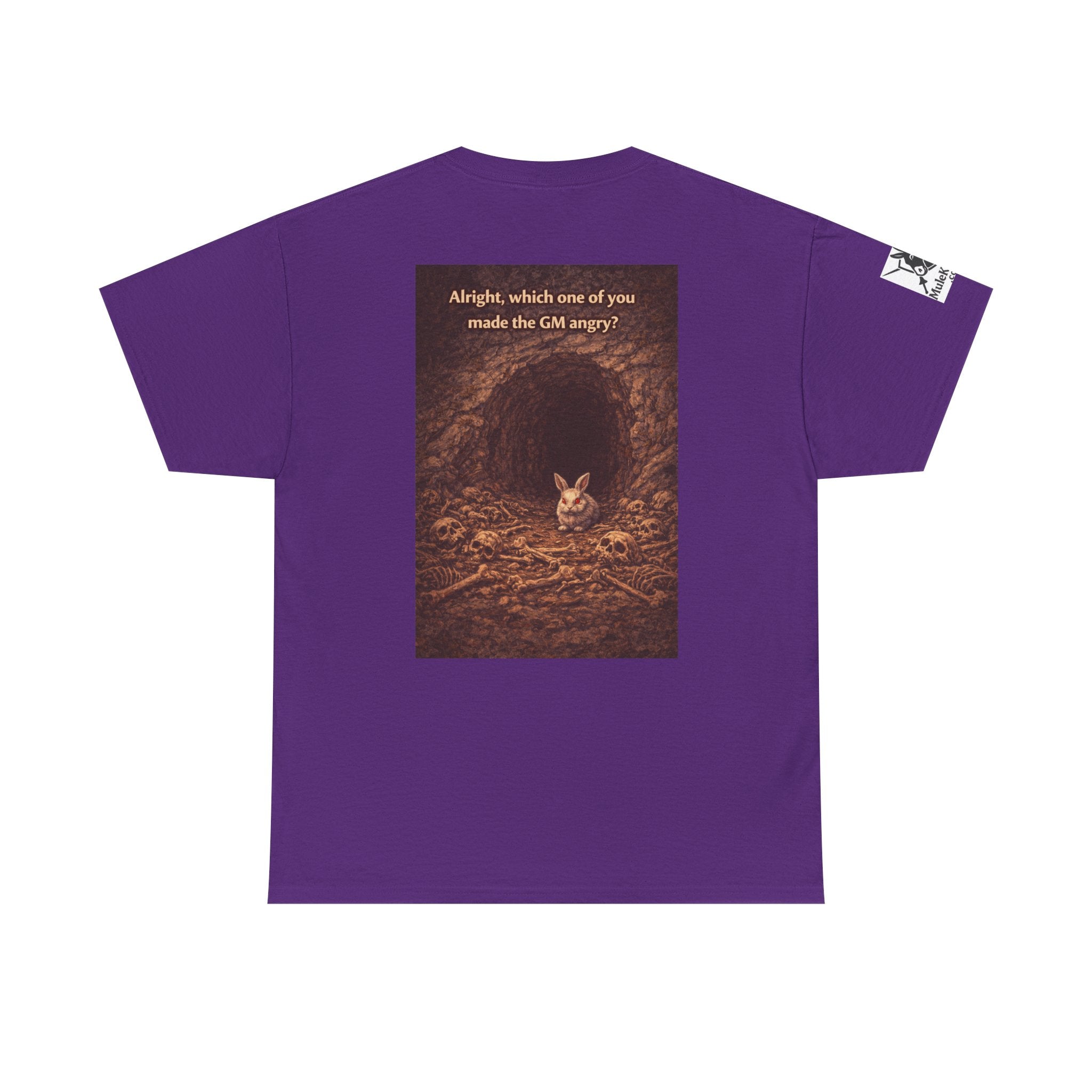 Gaming Tee—  "Alright which one of you made the GM angry!"  Funny tee