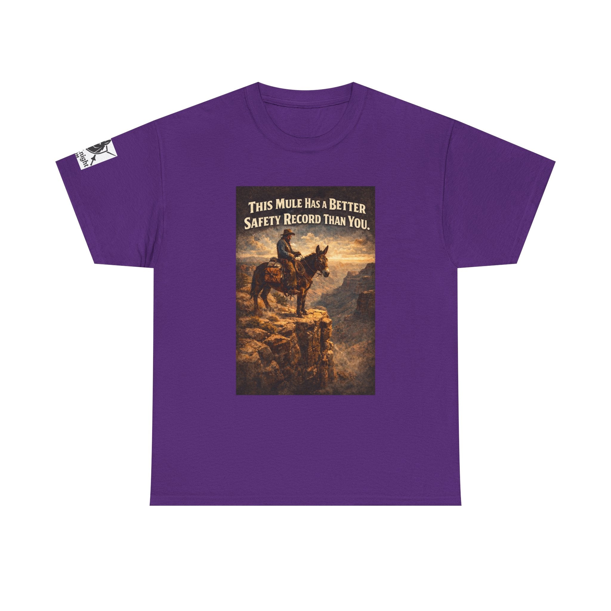T-Shirt — Vintage Western "This Mule Has a Better Safety Record Than You"
