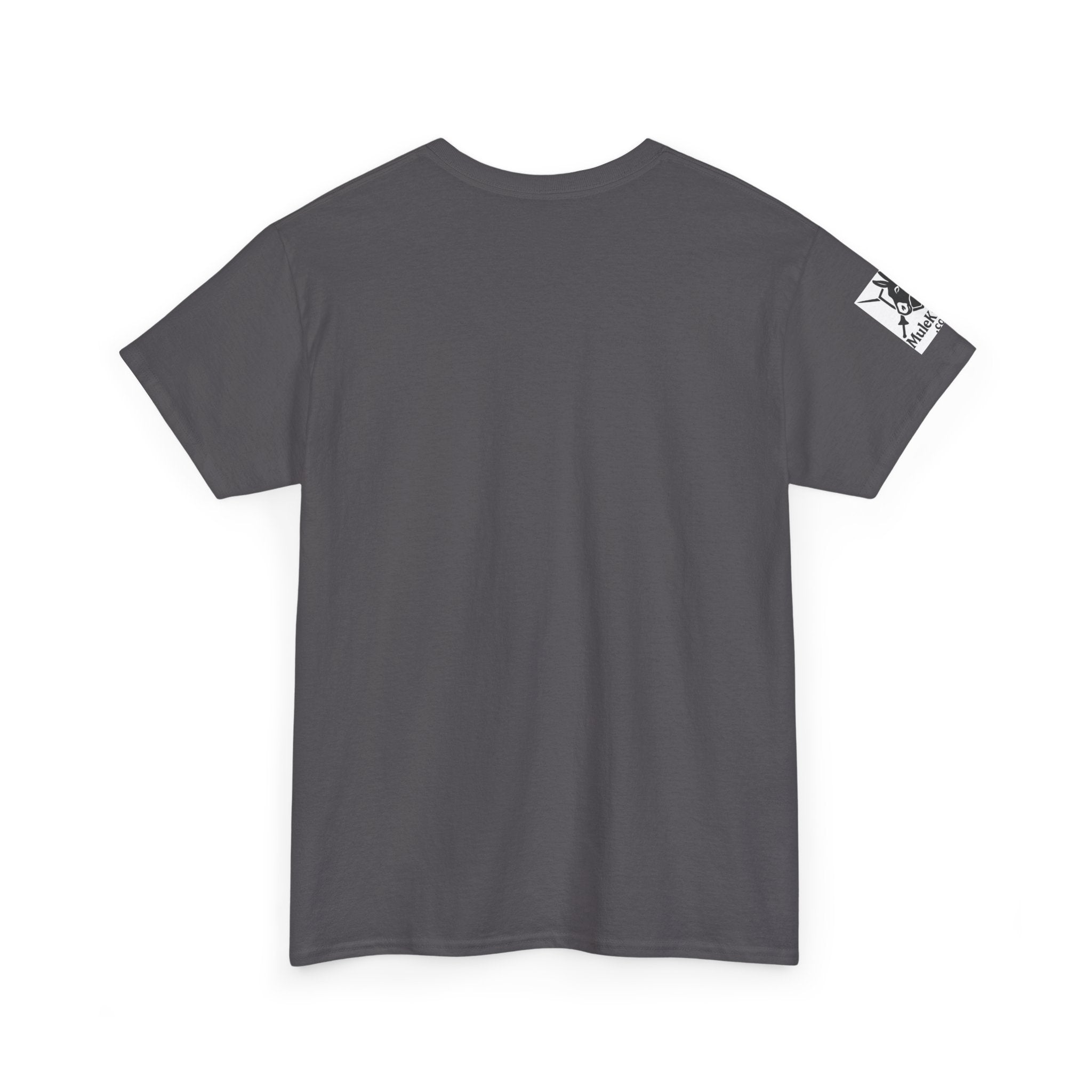 Jousting Ye Olde Fafo T-Shirt — Medieval Vintage Tournament Graphic Tee