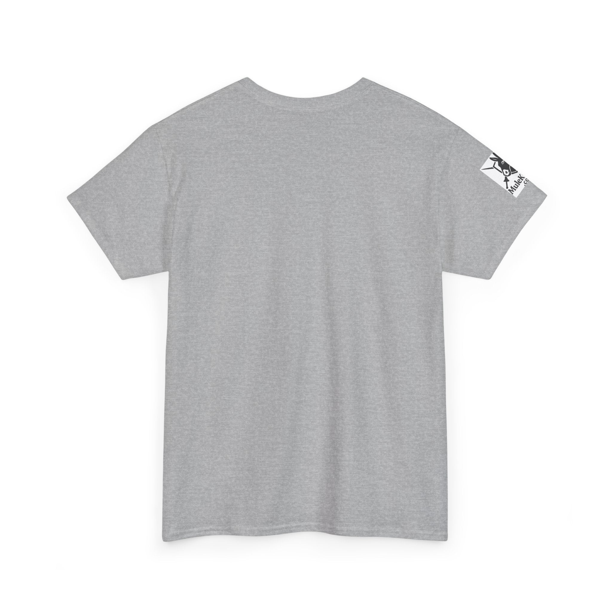 Crusader Knight T‑Shirt – "Pray for Mercy. I Won't." Graphic Tee