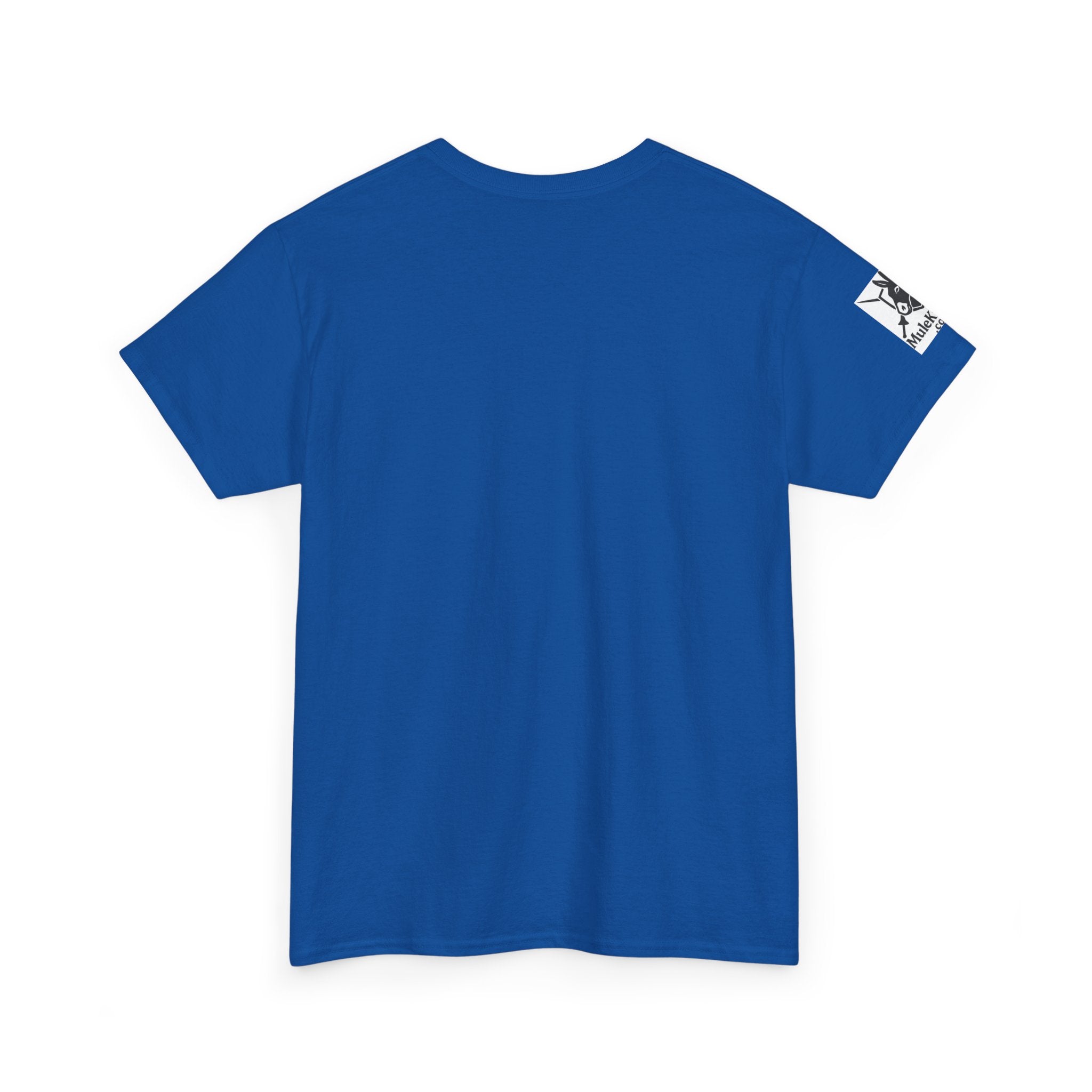 Medieval Conflict Resolution T-Shirt — Funny Knight Diploma Tee