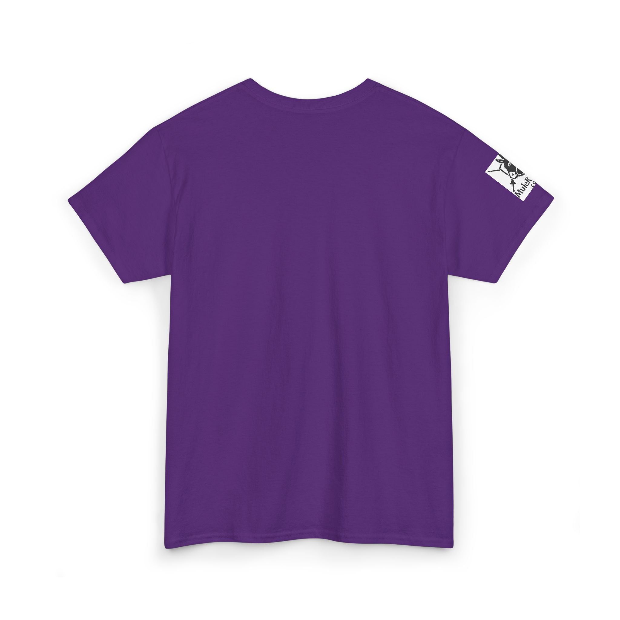 Not Stuck, Strategically Paused Mule Tee – Vintage Rider Graphic T-Shirt