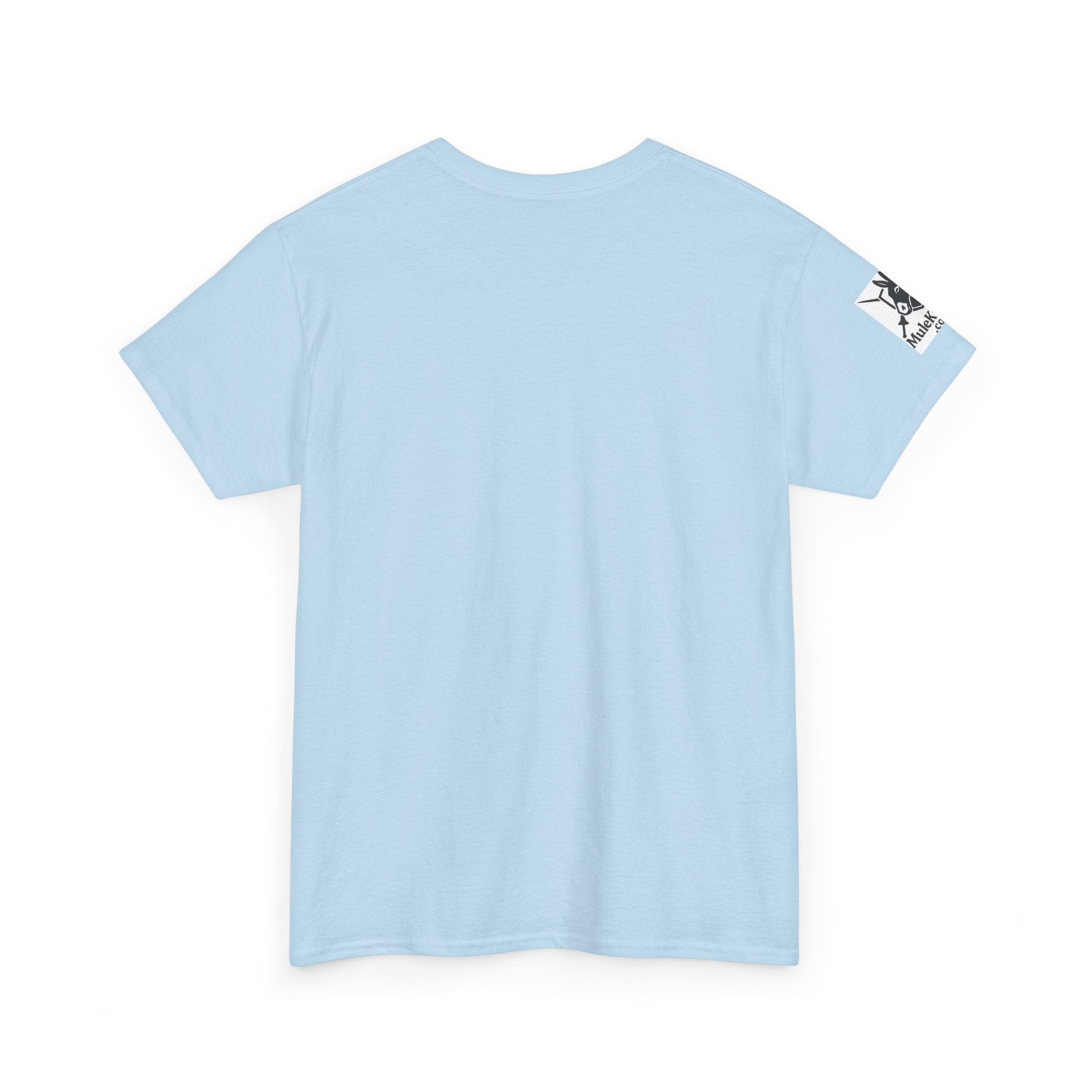 Jousting Ye Olde Fafo T-Shirt — Medieval Vintage Tournament Graphic Tee