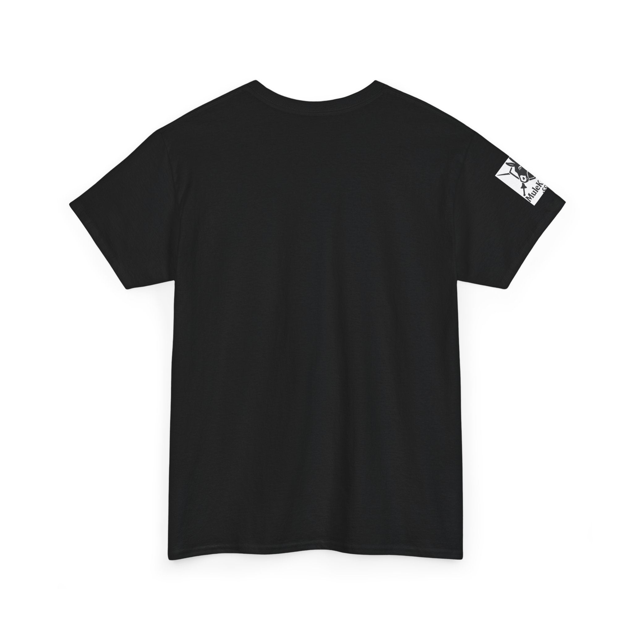 Medieval Conflict Resolution T-Shirt — Funny Knight Diploma Tee