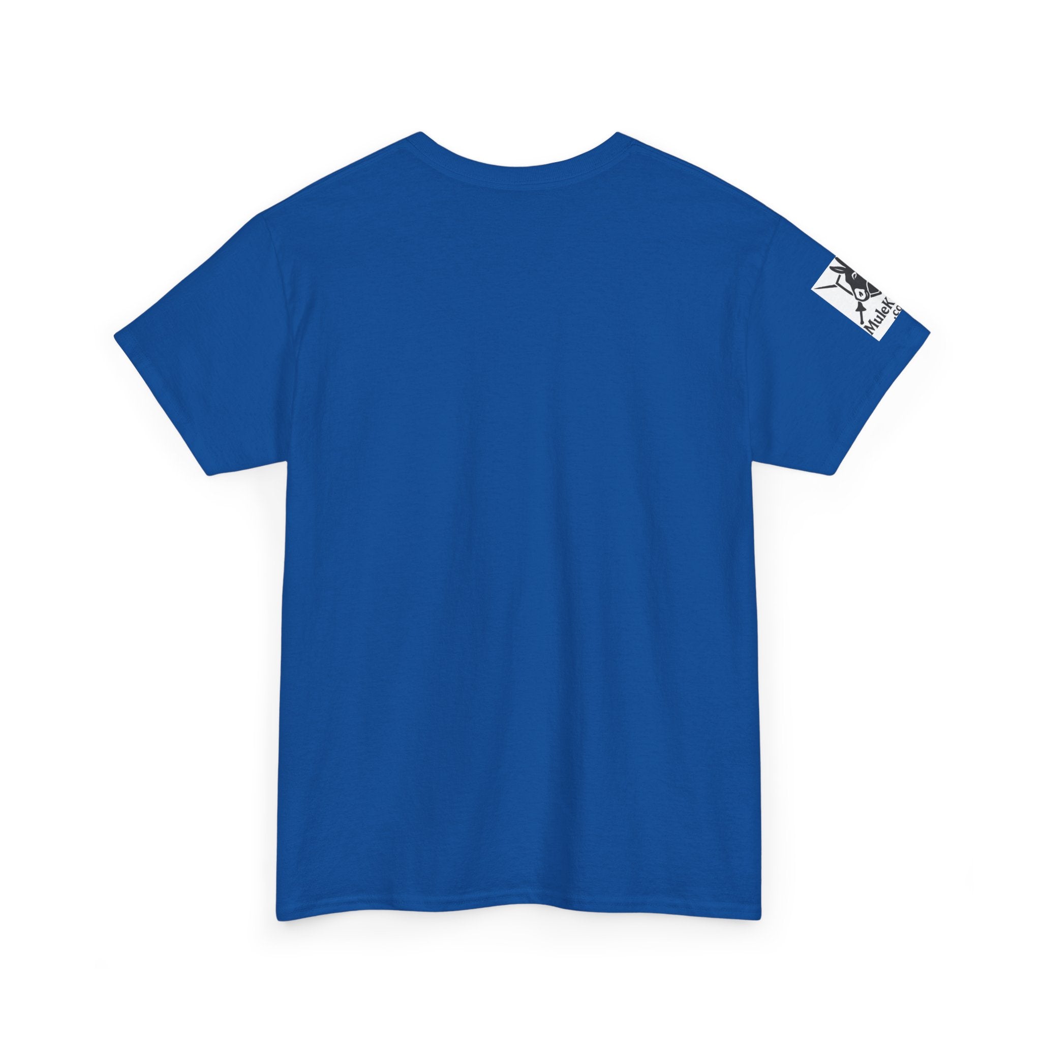 Do You Even Joust Bro? Jousting Order of Saint Catherine -Knight Jousting Graphic Tee