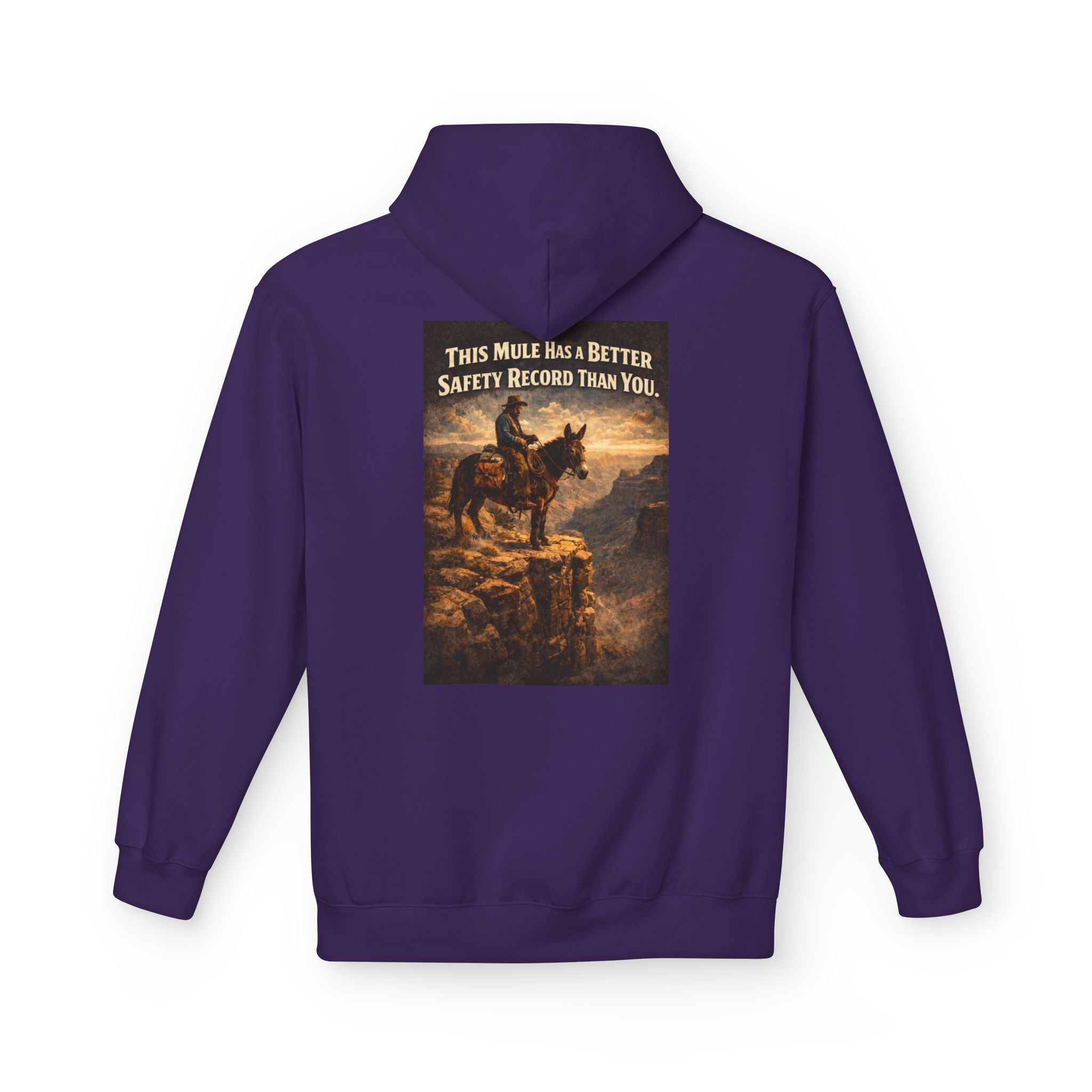 Riding Mule Graphic Hoodie – "This Mule Has a Better Safety Record Than You" Outdoor Adventure Sweatshirt