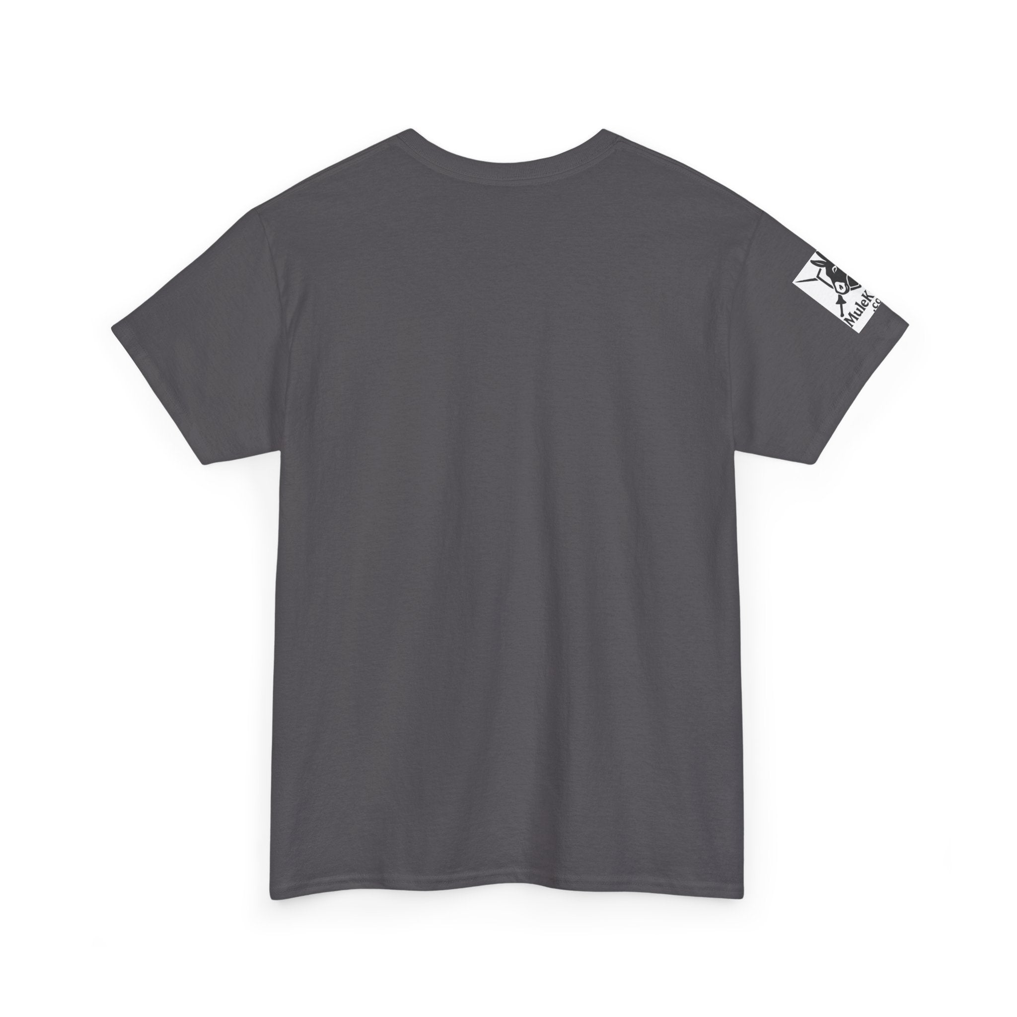 Chosen by Mules Tee — Funny Medieval Donkey Graphic T-Shirt